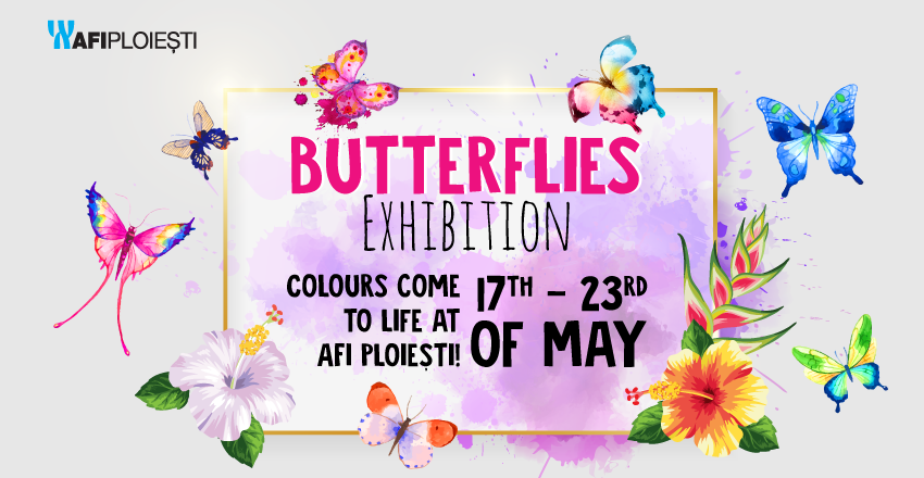 Butterflies Exhibition
